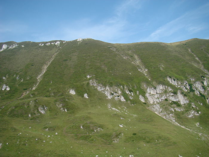 DSC09952 (2)