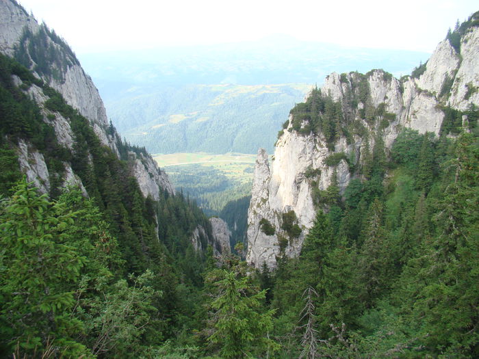 DSC09952