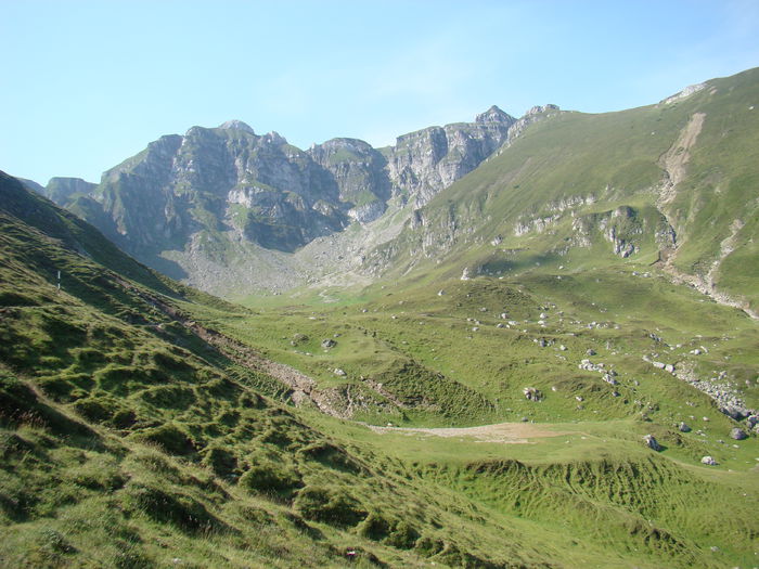 DSC09953 (2)