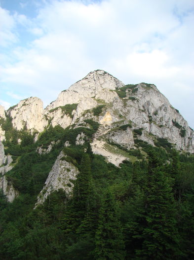 DSC09953
