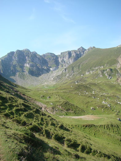 DSC09954 (2)