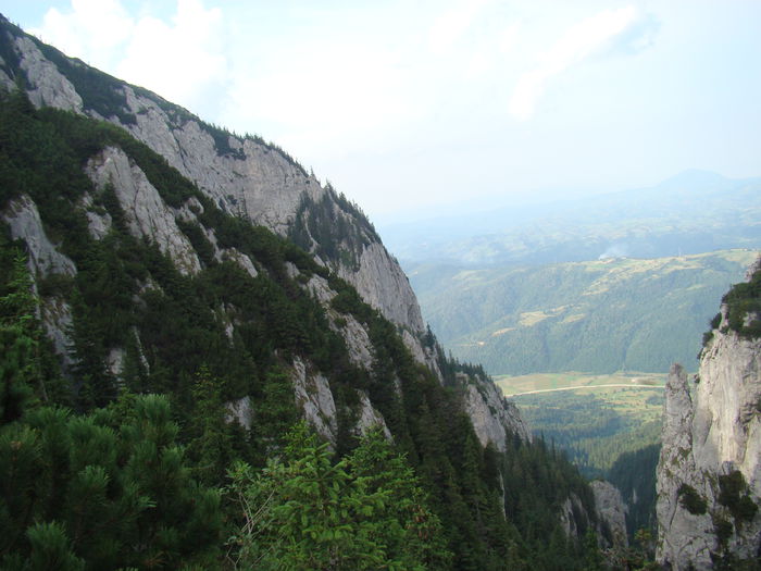 DSC09955