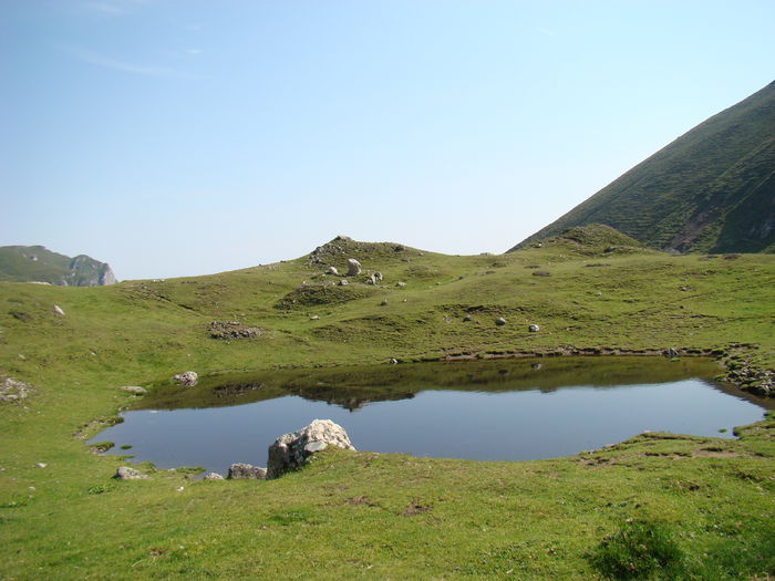 DSC09956 (2)