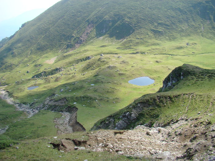 DSC09958 (2)