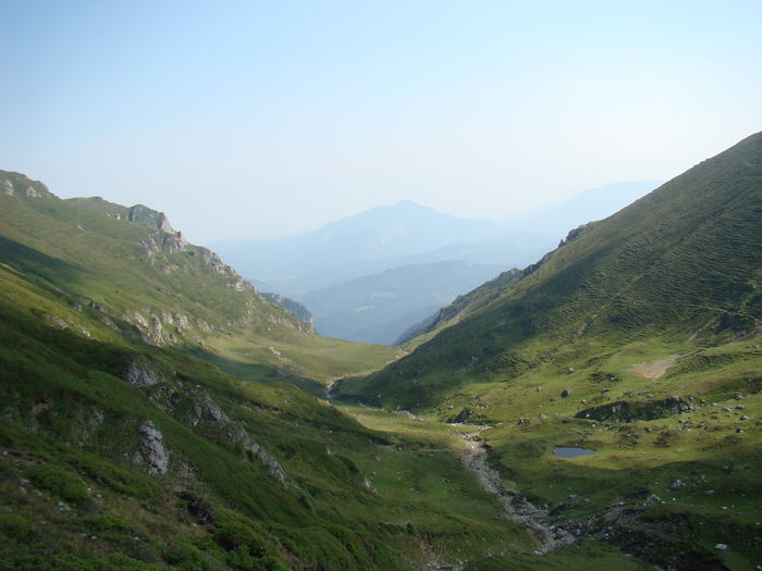DSC09959 (2)