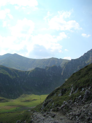 DSC09961 (2)