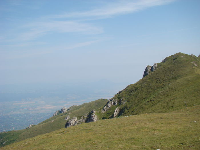 DSC09967 (2)