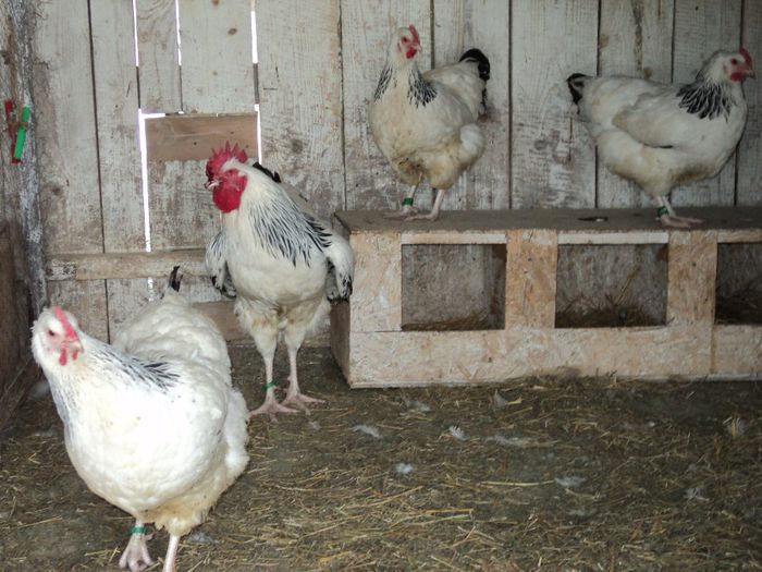 97120373_XYKESWF3[1]