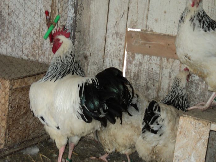 97120384_UFSEPXX3[1]