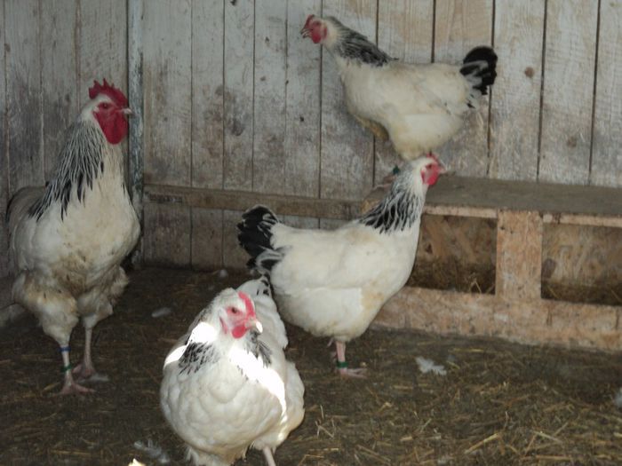 97120220_EPQNHVM3[1]