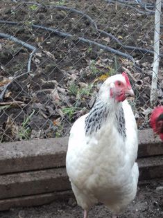 95855625_OOUJCQI3[1]