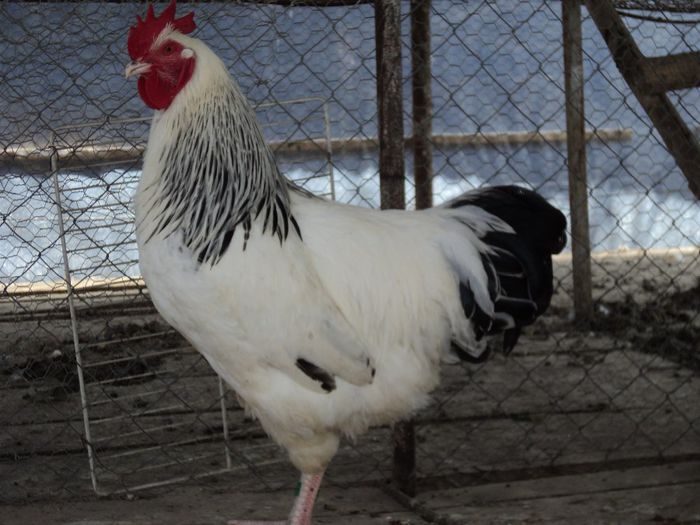 97120424_HAFMLOF3[1]