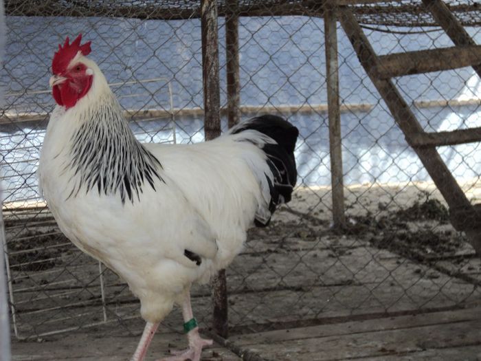 97120425_UPDUTFK3[1]