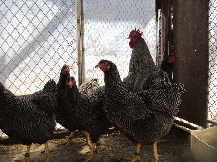 97119964_OMXENXX3[1]