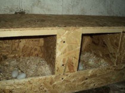 95600157_EXVTBNY3[1]