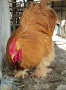 95600160_EEFWNMF3[1]