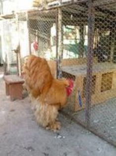 95600165_ZDQKQZG3[1]