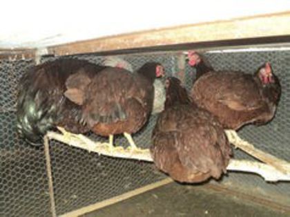 95794786_BOYFKSN3[2]