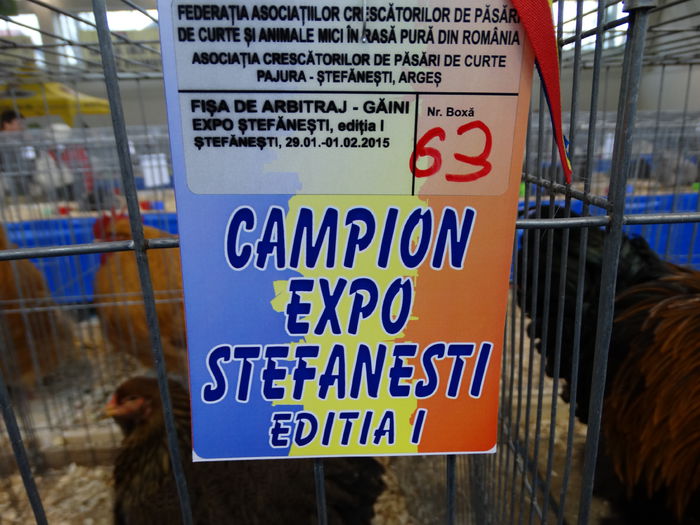 DSC04731 - Expo Pajura Stefanesti Arges ian 2015