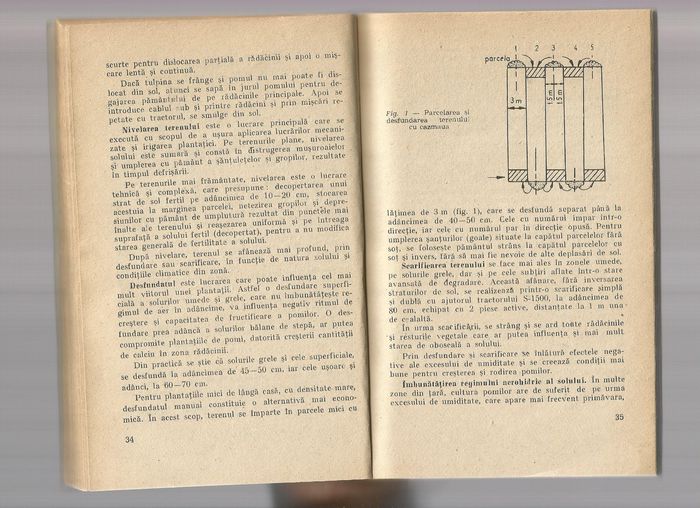 Scan0017 - Infintarea unei plantatii pomicole