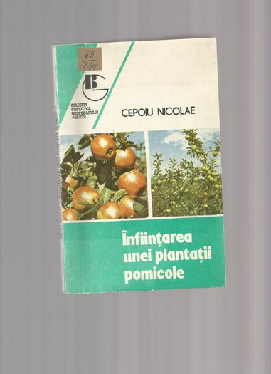 Scan0051 - Infintarea unei plantatii pomicole