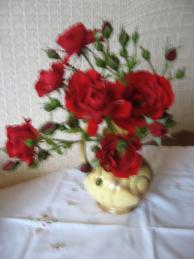 Picture 3494; trandafiri
