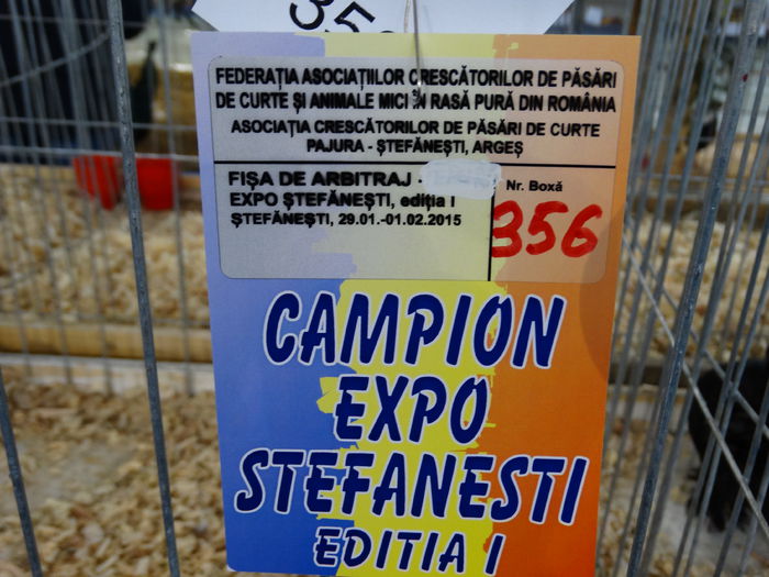 DSC04880 - Expo Pajura Stefanesti Arges ian 2015