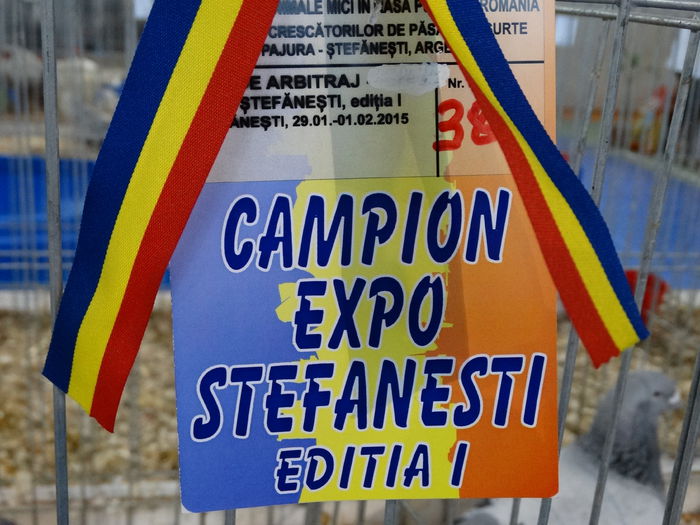 DSC04900 - Expo Pajura Stefanesti Arges ian 2015