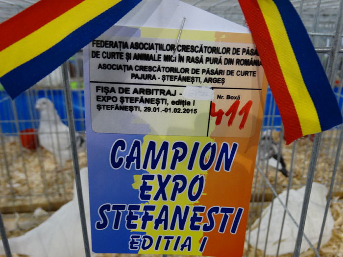 DSC04907 - Expo Pajura Stefanesti Arges ian 2015