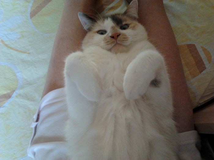 2012-05-02 18.43.58 - Mitica