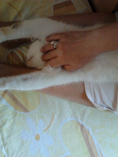 2012-05-02 18.46.04 - Mitica