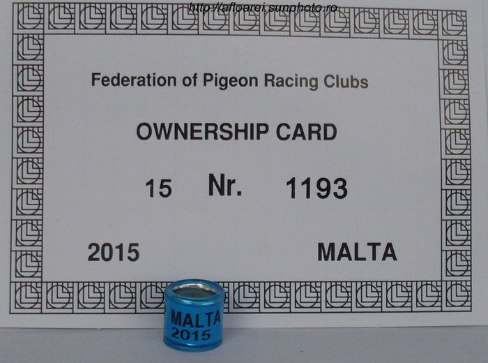 malta 2015 - MALTA