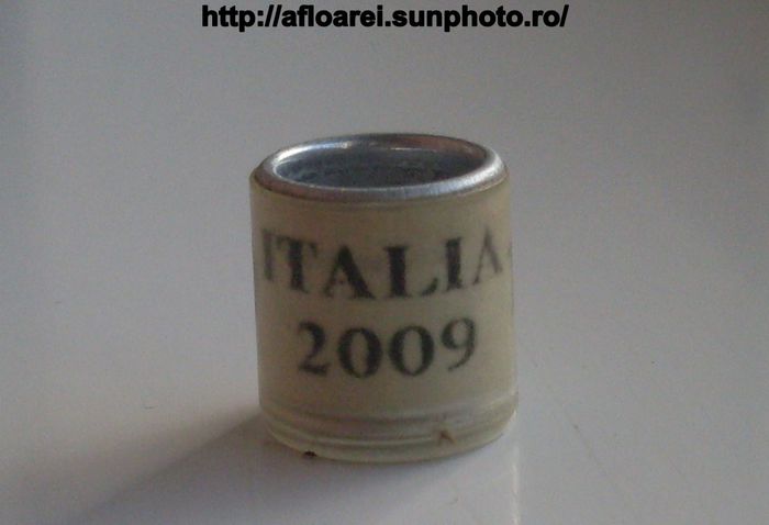 italia 2009 - ITALIA