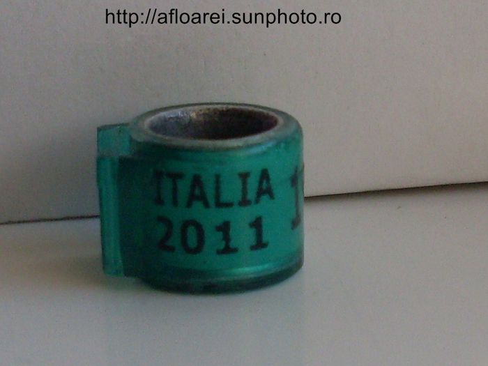 italia 2011 - ITALIA