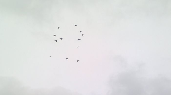 2015-01-29-146