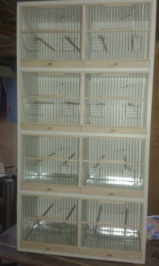 10429822_668595599933319_4097548540633721669_n