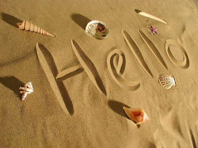 hello - Scoici