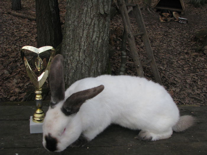 fiu din masculul nr.1Campion national Suceava 2014 - UT tata si fiul campion national