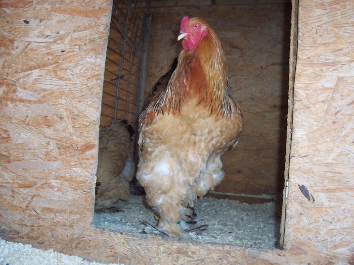 100_5525 - 2015 COLUMBIA MATCA