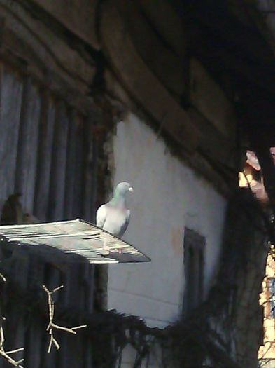 10872416_780739528671364_810860261_n