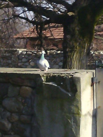 10877934_780739662004684_493500046_n