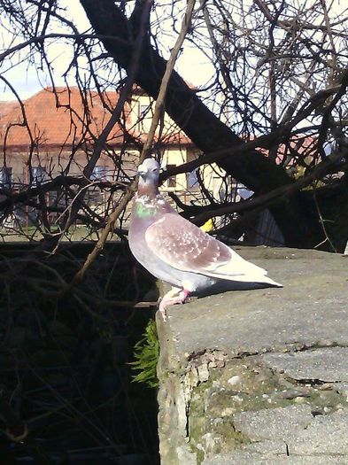 10941242_780739458671371_631528891_n