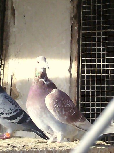 10952703_780739192004731_2137084454_n