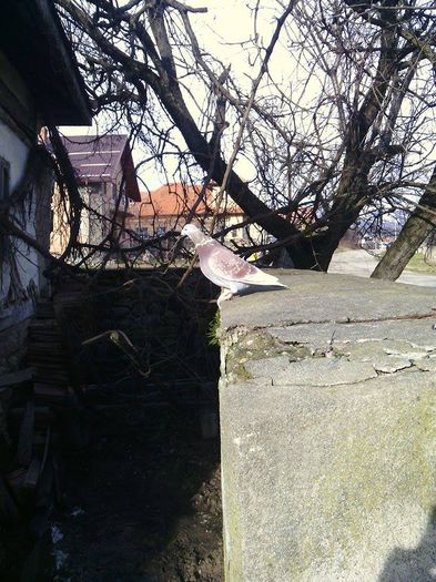 10956075_780739482004702_1577504953_n