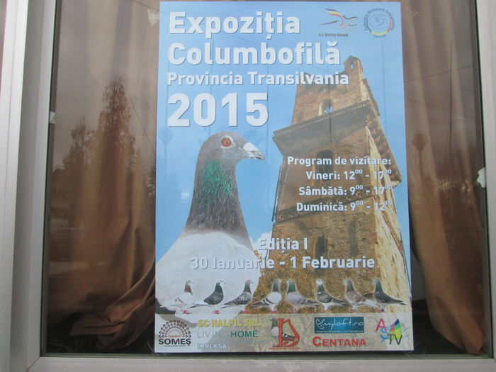 IMG_2235 - EXPO COLUMBOFILA PROVINCIA TRANSILVANIA 30IAN 01 FEB 2015