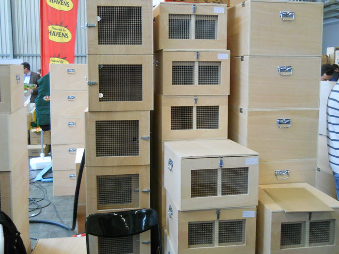  - 5---Expozitie Germania ULM 2015