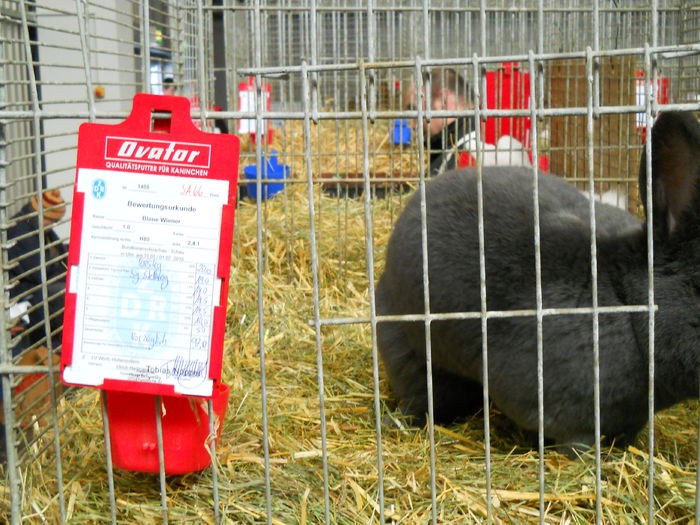  - 5---Expozitie Germania ULM 2015