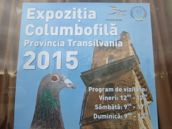 IMG_2239 - EXPO COLUMBOFILA PROVINCIA TRANSILVANIA 30IAN 01 FEB 2015