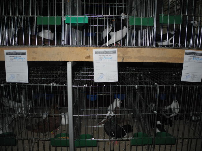 DSCN2905 - Expo Vidin 26-10-2013