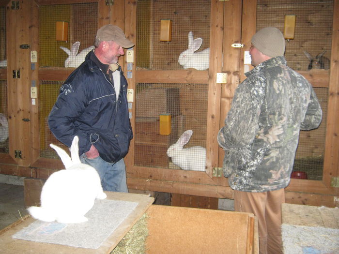 geb_jk2013 020 - vizita crescatoriilor de iepuri oradea